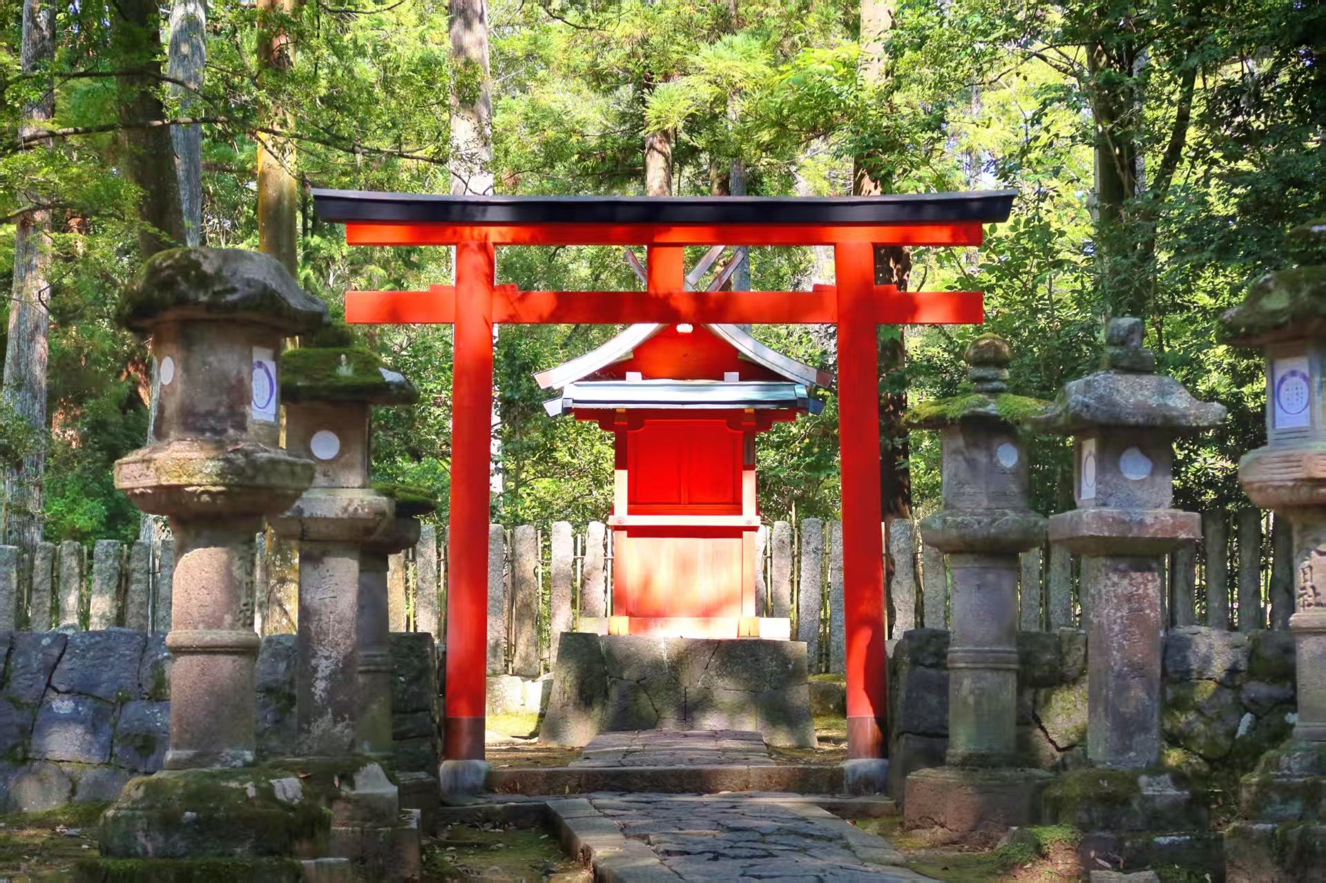 日本之旅 4